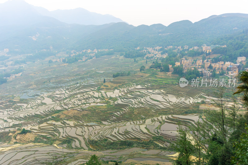 层层叠叠的元阳梯田景观