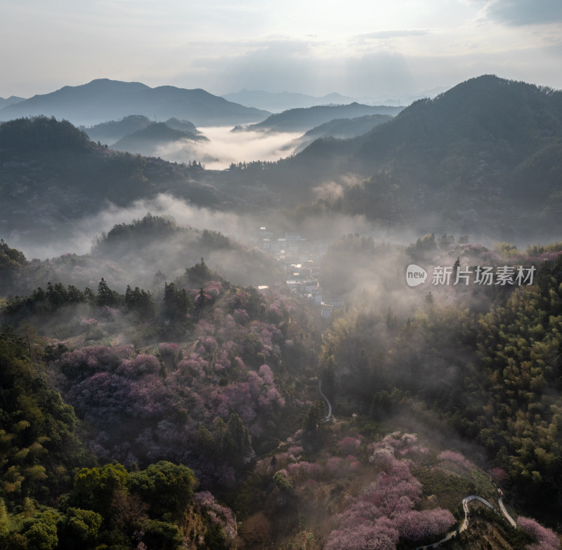 山间晨雾中的繁花与村落