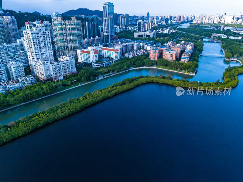 厦门筼筜湖周围建筑航拍图