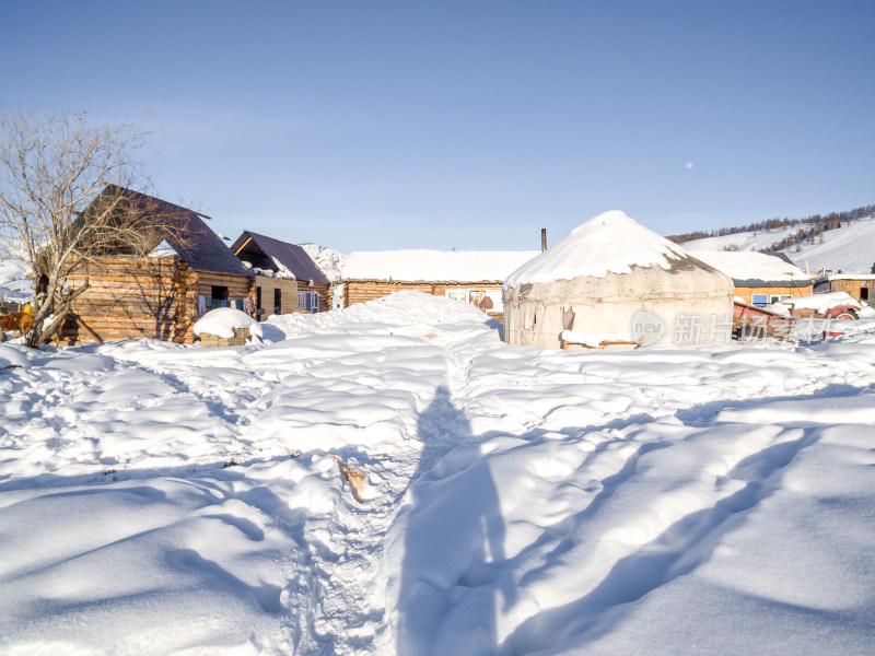 新疆阿勒泰白哈巴村冬季雪景