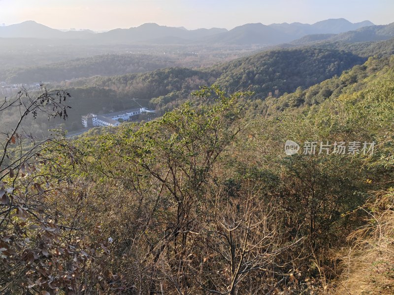 山林间眺望远处建筑的自然景观