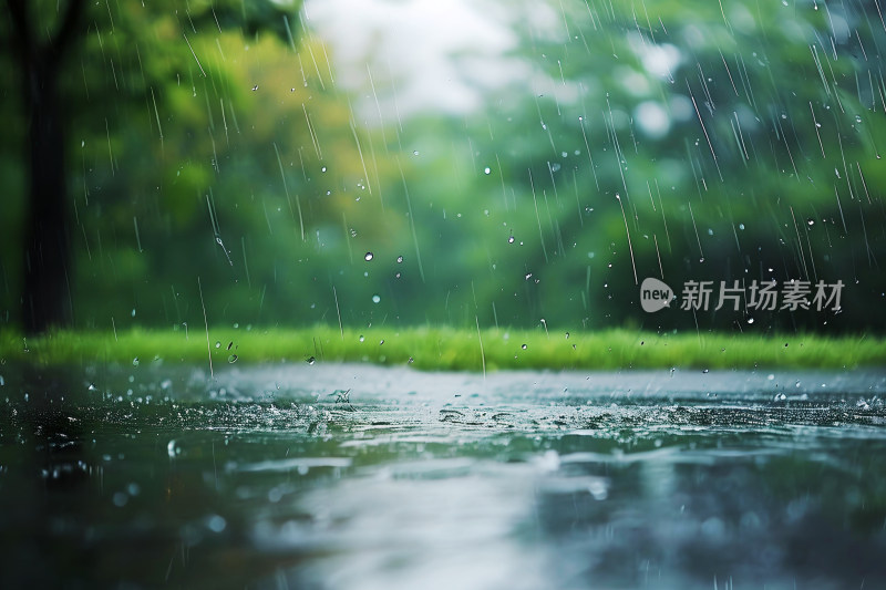 自然风景植物背景雨水