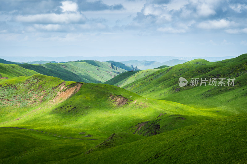 新疆库尔德宁风景区自然风光 连绵的草原