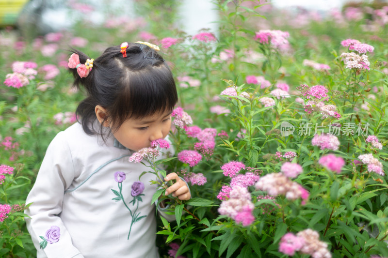 花丛里的漂亮小女孩 赏花看海闻花