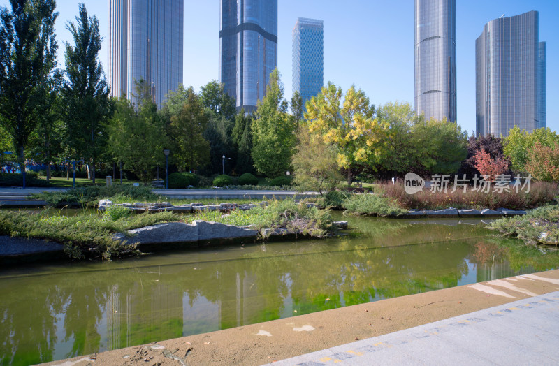 北京市朝阳区望京CBD大楼