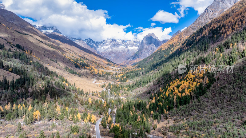 四川阿坝四姑娘山景区秋天的美丽景色