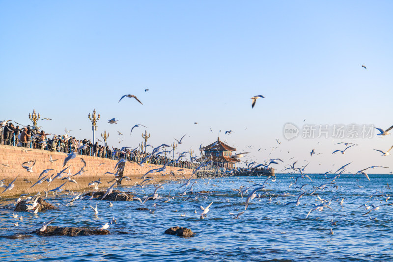 青岛栈桥风光