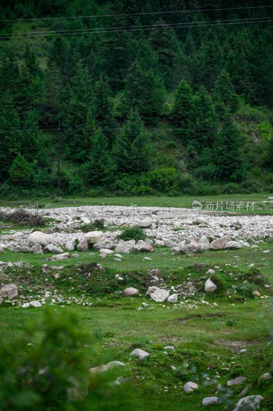 高山草甸风光