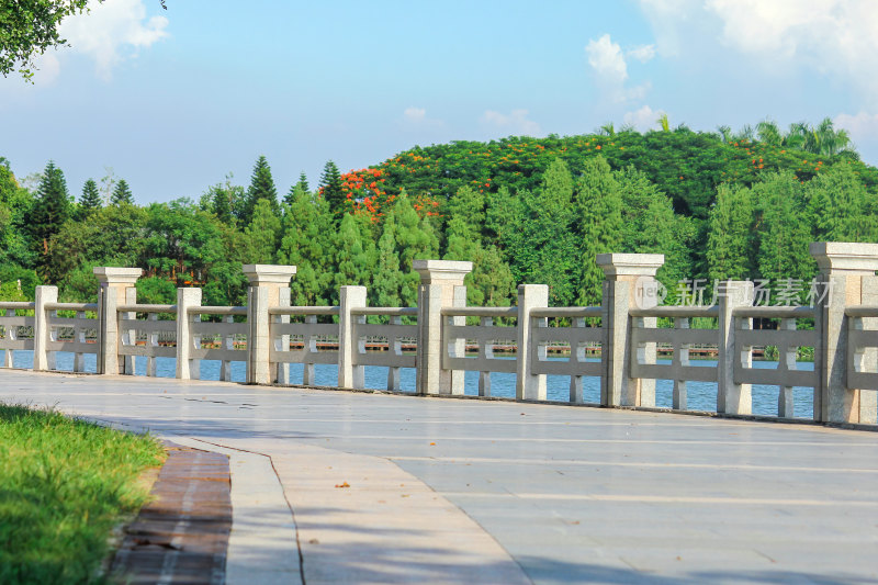 湖边步道与绿植景观