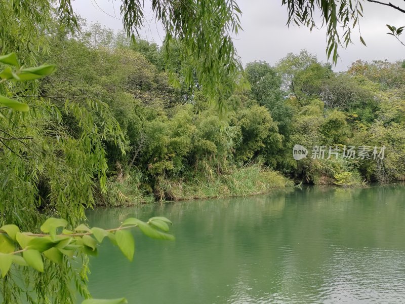 绿树环绕的水域风景