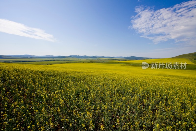 内蒙,额尔古纳,