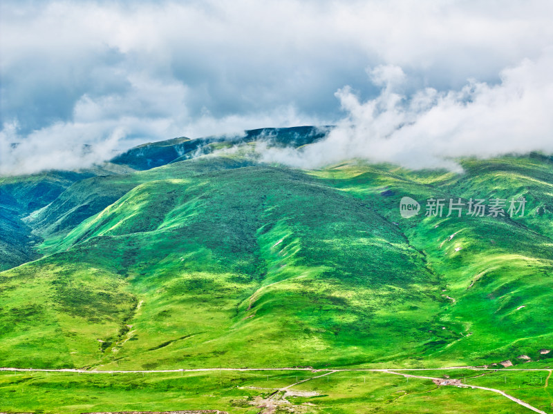 黄河湿地美景