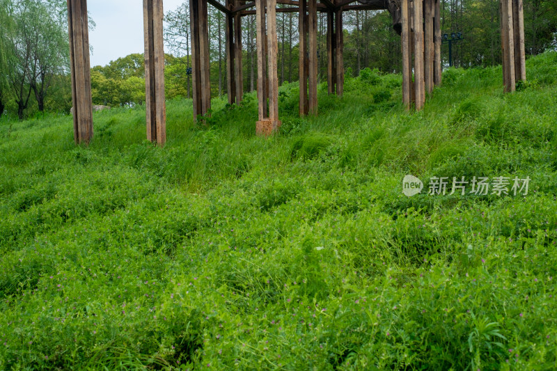 野外草地上的木质结构建筑