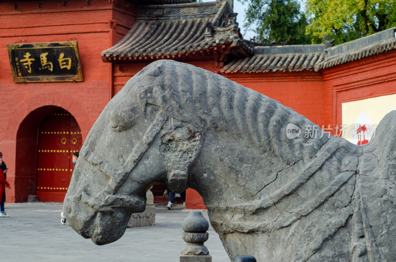 河南省洛阳市白马寺山门前的石马雕塑