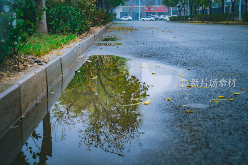 深秋风光/雨后/水中倒影