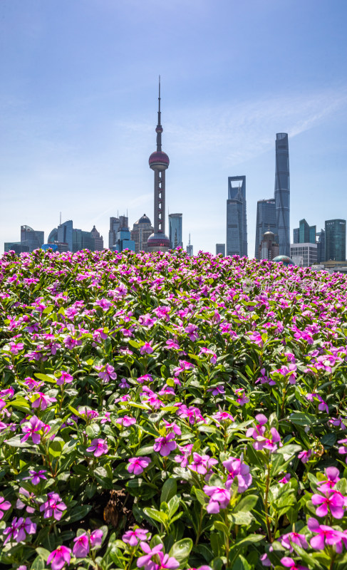 上海外滩外白渡桥陆家嘴黄浦江城市景观