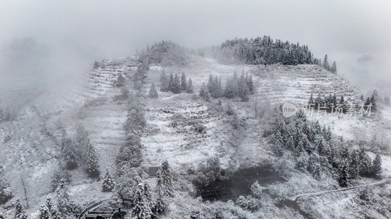 重庆酉阳：大雪纷飞赏雪忙