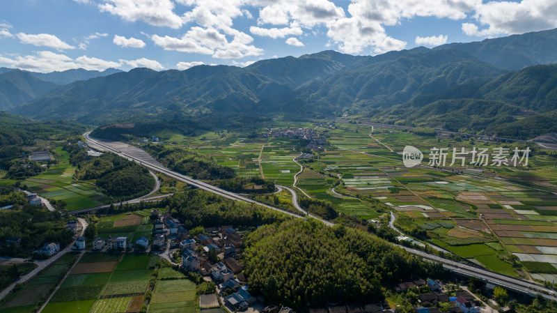 航拍乡村绿色稻田 乡村振兴