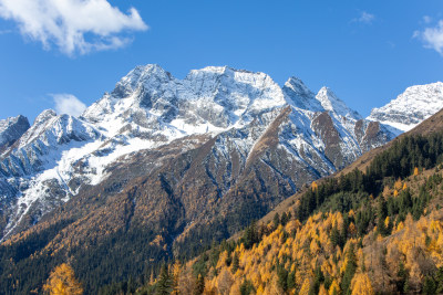 川西四姑娘山双桥沟景区雪山秋色