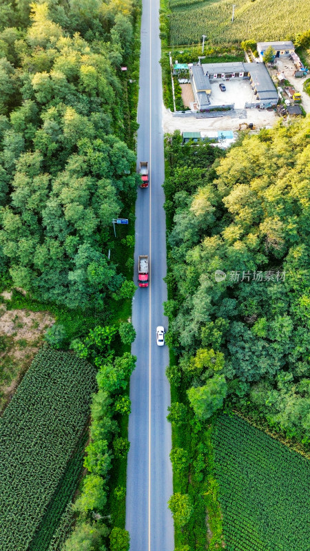 乡村公路航拍