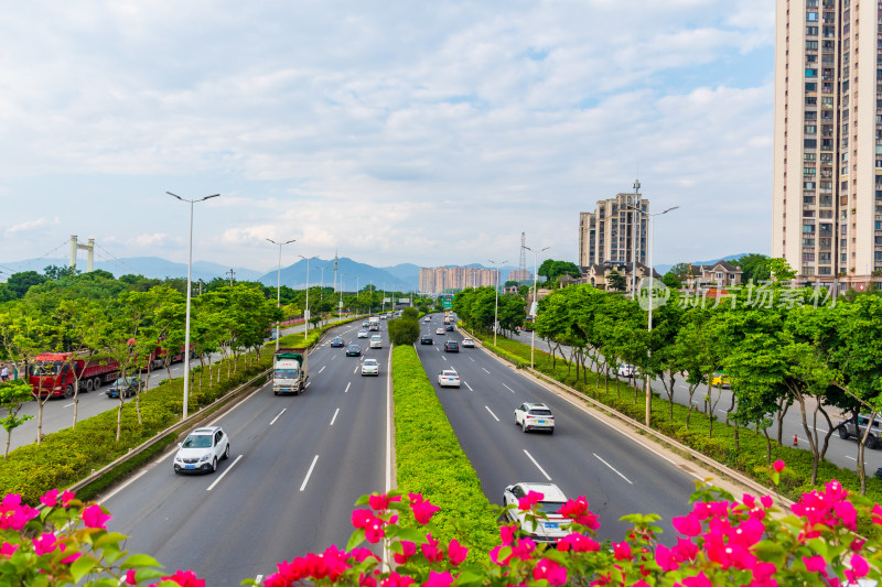 城市道路车流与高楼景观