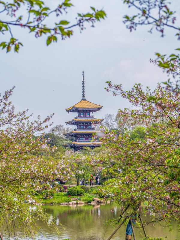 武汉东湖风景区景点风光