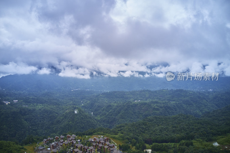 峨眉山的原始森林