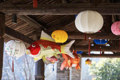 宁波东钱湖下水湿地钱湖秘境冬天景色