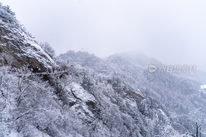 老君山下雪大山森林雾凇景观