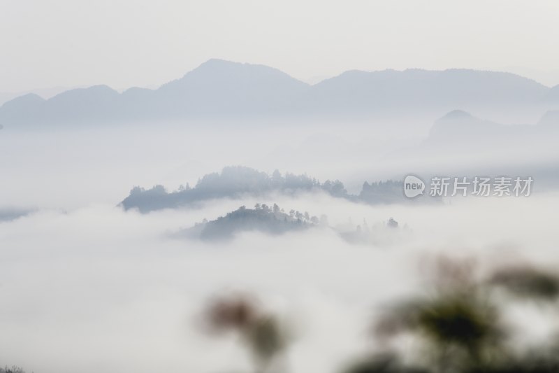 重庆酉阳：暮秋绵雨晨雾浓