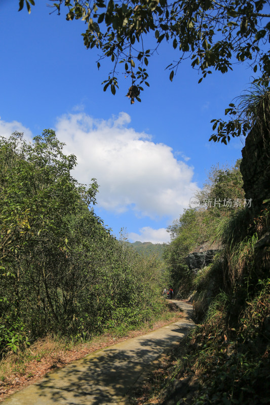 山间小路 山路 小路