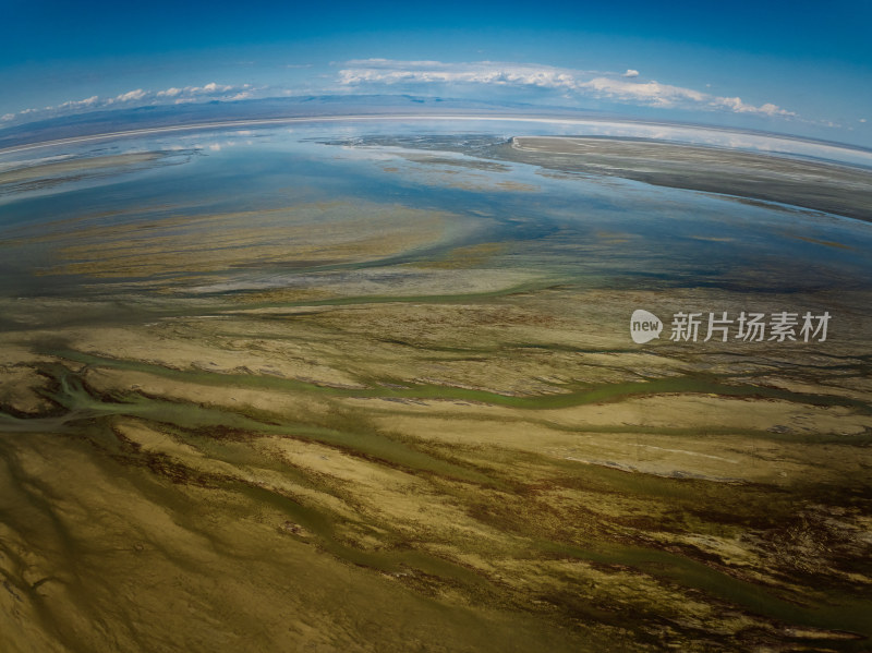 新疆艾比湖湿地