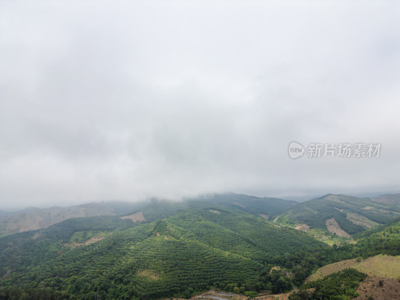 云雾笼罩下的葱郁山林鸟瞰全景