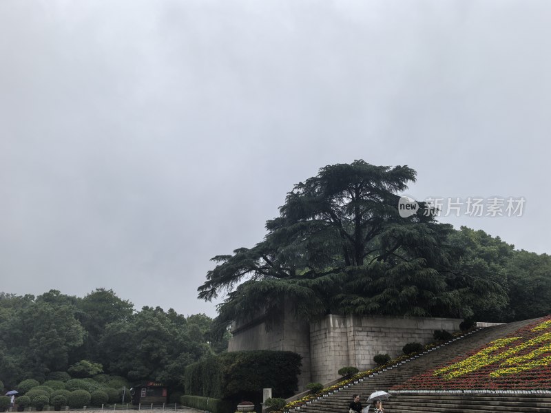 雨花台：树木与阶梯景观