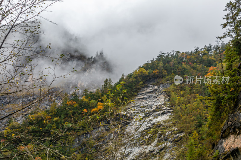 秋天树林云雾山峰