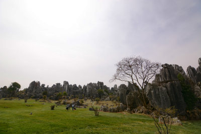 云南自然风景