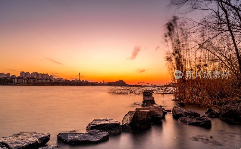 湖边日落景象，芦苇岩石相伴