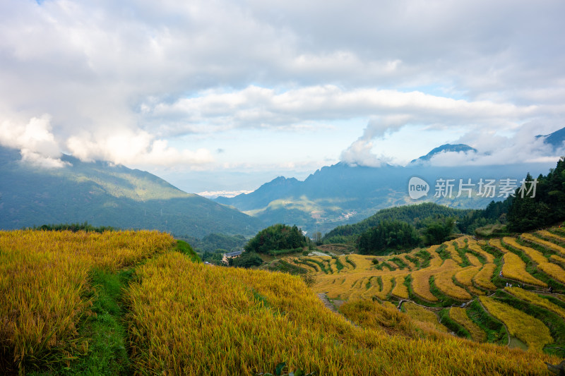 浙江丽水云和梯田景区风光