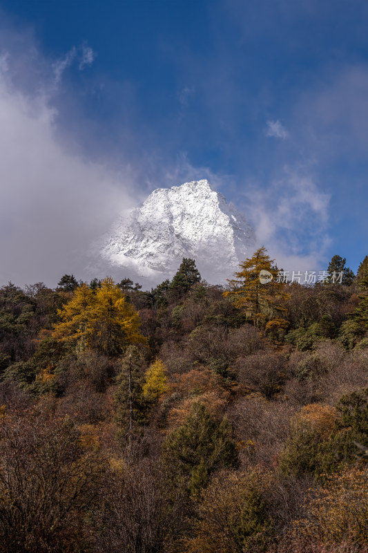 四川甘孜州稻城亚丁夏诺多吉秋色日出金黄色