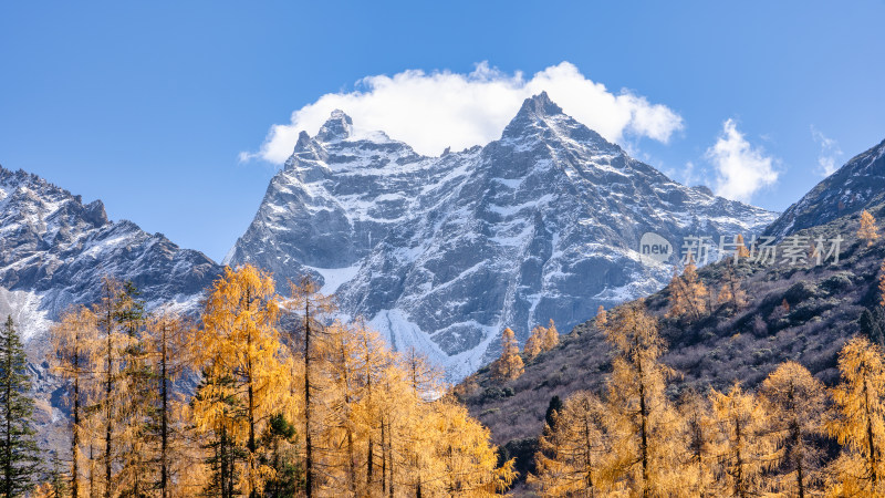 四川四姑娘山双桥沟景区秋天的雪山美景