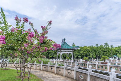 武汉东湖风景区碧潭观鱼景点风光