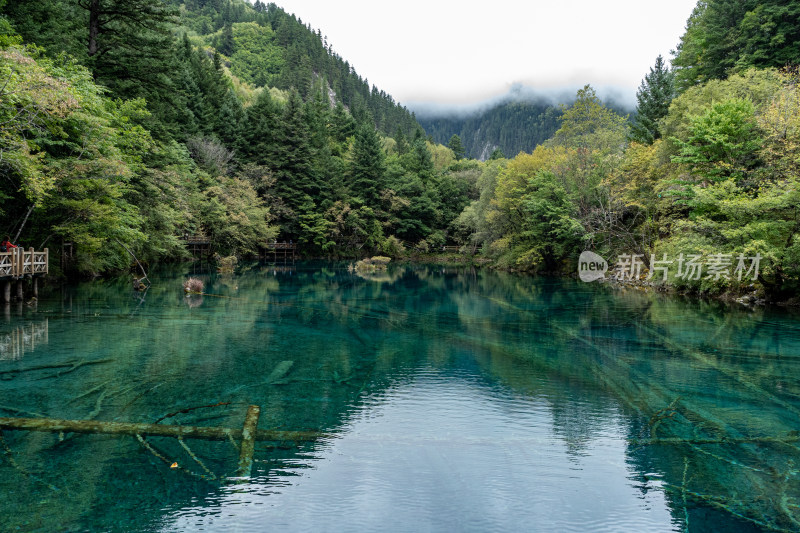 四川阿坝藏族羌族自治州九寨沟景区