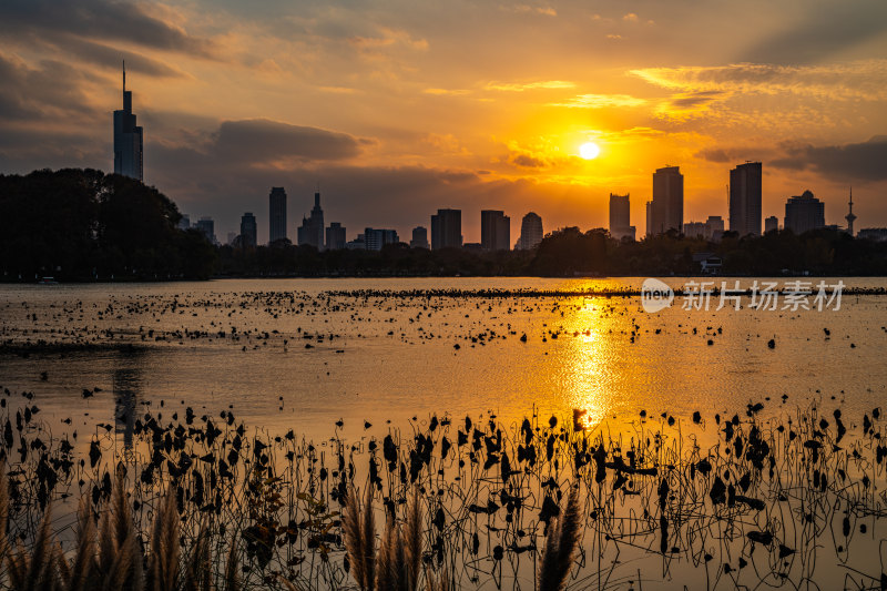 黄昏夕阳南京玄武湖城市建筑景观