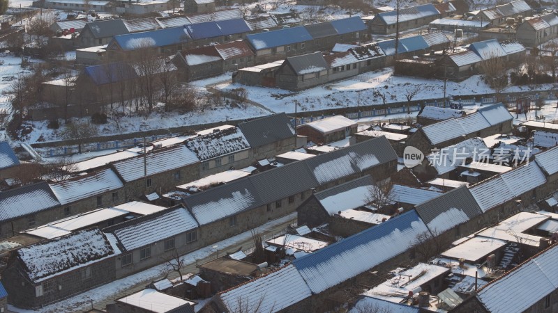 航拍威海市文登区瓦屋庄村百年银杏冬季雪景