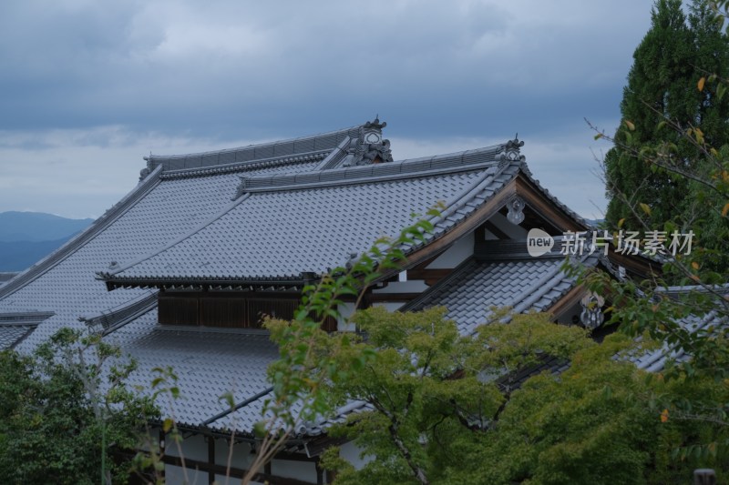 日本箱根富士山自然风光美景