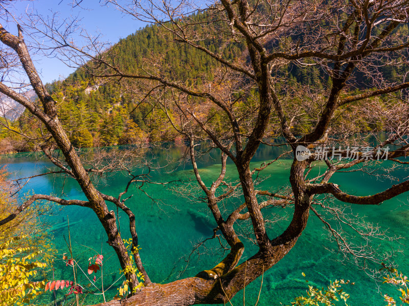 九寨沟秋景