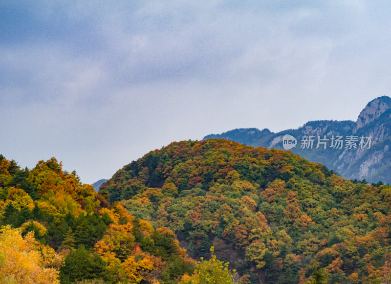 河南省洛阳白云山九龙潭秋天风景