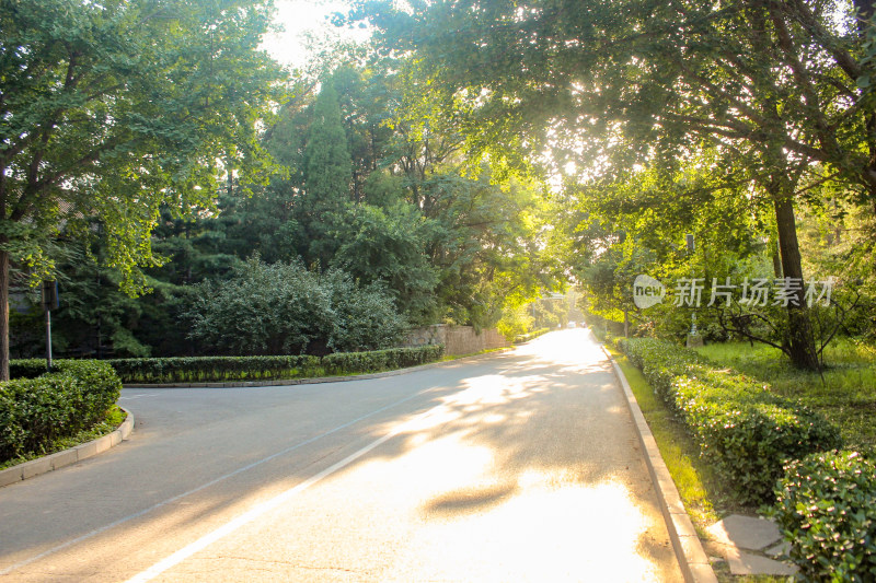 清华大学校园里的道路