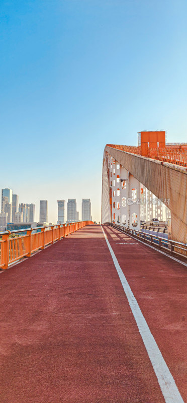 佛山市东平大桥