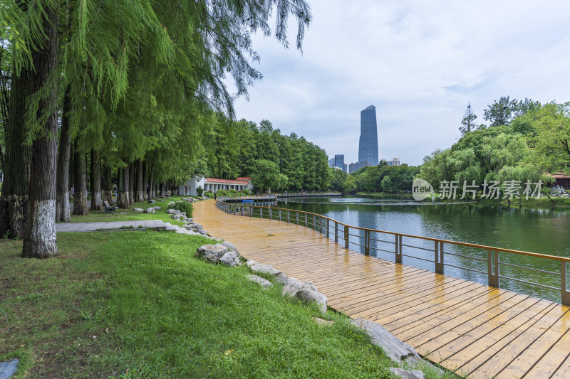 武汉江岸区解放公园风景